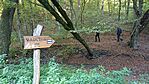 20251004_083238