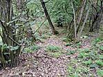 IMG_20251001_140439