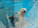 IMG_20250930_104800