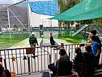 IMG_20250930_130851