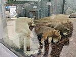 IMG_20250930_123416