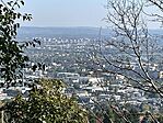 IMG_7329