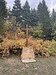 IMG_7416