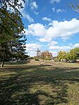 IMG_20251008_120729