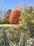 IMG_9422