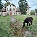 20250930_091052