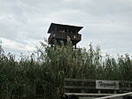 IMG_0060