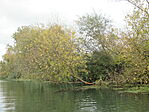 IMG_0061