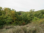 IMG_0104