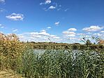 IMG_0831