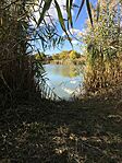 IMG_0832