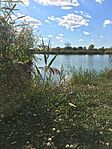 IMG_0834