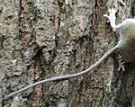 IMG_20250928_142710-EDIT-EDIT