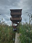IMG_20251011_093612_339.jpg_compressed