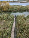IMG_20251011_094119_773.jpg_compressed
