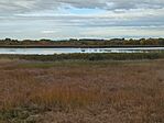 IMG_20251011_094148_084.jpg_compressed