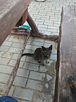 IMG_20251011_113818_872.jpg_compressed