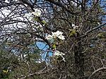 IMG_20250915_132014269_MFNR