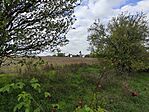 IMG_20251001_140850