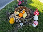 IMG_20251004_084536