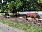 IMG_20251007_092750