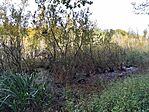 IMG_20251011_120827