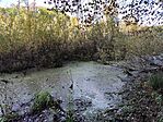 IMG_20251011_121019