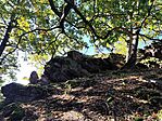 IMG_20251019_101514