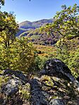 IMG_20251019_102954