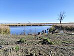 IMG_20251029_120514