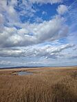 IMG_20251030_141211