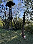 IMG_0154