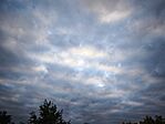 IMG_20251012_172441