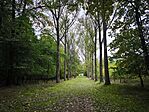 IMG_20251012_164246