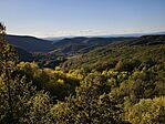 IMG_20251018_163037