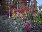 IMG_20251025_173821_1