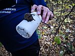 IMG_20251025_174743