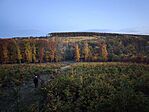 IMG_20251025_175723