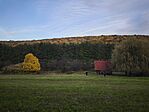 IMG_20251025_165653