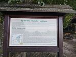 IMG_20251008_102718