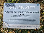 20251025_083024