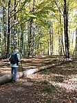 IMG20251020121714