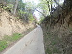 P1090112