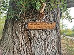 GCNagy_20251013_122402