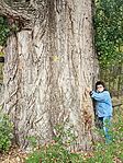 GCNagy_20251013_122511
