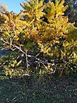 IMG_20251018_161011