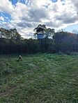 IMG_20251018_143040