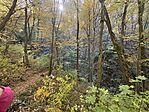 IMG_3911