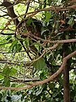 IMG_20250930_112425