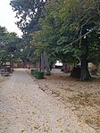 IMG_20250930_112751